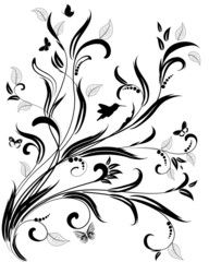 floral ornament  for your design