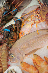 Fresh seafood arrangement displayed in market