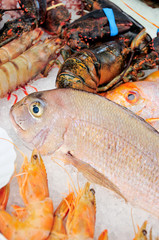 Fresh seafood arrangement displayed in market