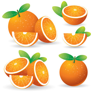 oranges with leaves set