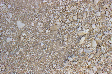 rock texture background 2