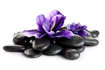 Spa stones and purple flower, isolated on white. flower in stone