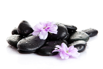 Spa stones and purple flower, isolated on white. flower in stone