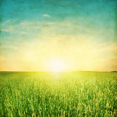 Fototapeta na wymiar Field of green field and colorful sunset.