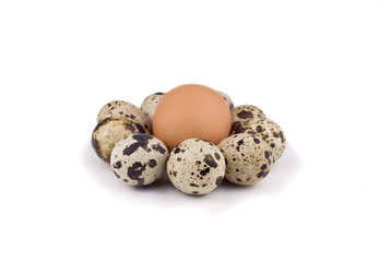 Obraz premium Chicken and quail eggs