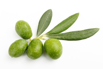 Olive verdi e foglie