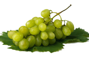 ripe bunch of grapes
