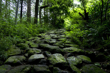 箱根の旧街道石畳