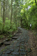 箱根の旧街道石畳