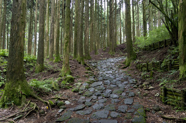 箱根の旧街道石畳