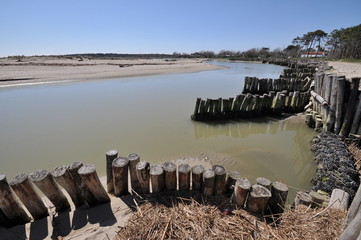 Spiaggia la Bassona riserva naturale Ravenna