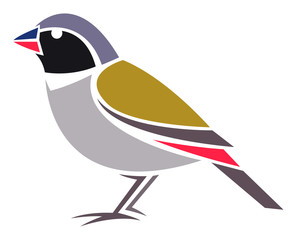 Estrildid Finch - Swee Waxbill