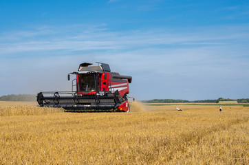 Harvesting combine at the rye field