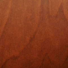 Brown varnished wood fragment