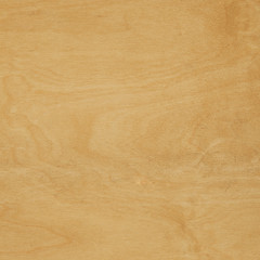 Fototapeta na wymiar Sheet of wood