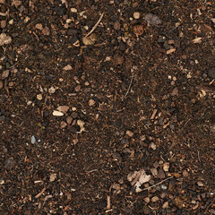Earth covered with mulch