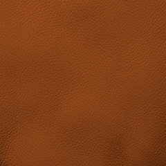 Leather texture fragment
