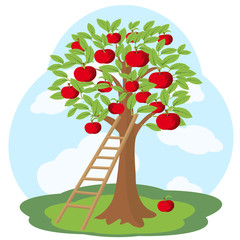 Apple tree and wooden staircase