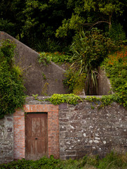 Irlandia zieleń bluszcz dziki ogród drzwi drewno kamień cegła © JoannaTkaczuk