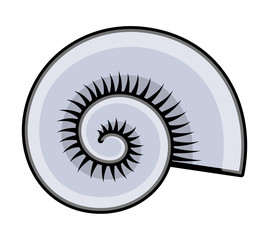 Cartoon Circular Sea Shell Vector