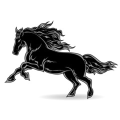 Obraz na płótnie Canvas Black Horse