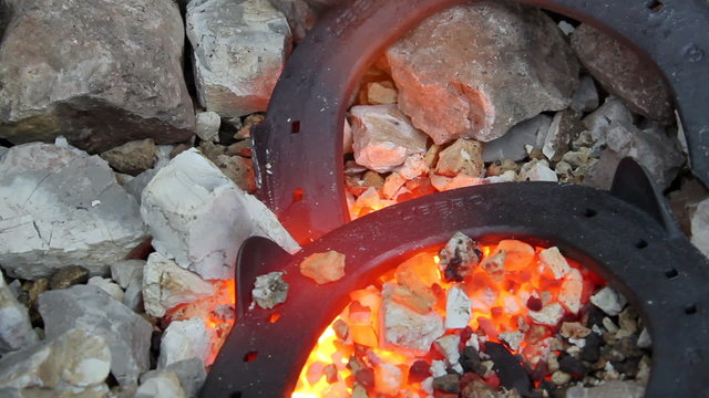Blacksmith shaping a horseshoe