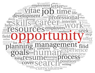 Opportunity concept in word cloud