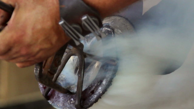 Trimming and shoeing a horse