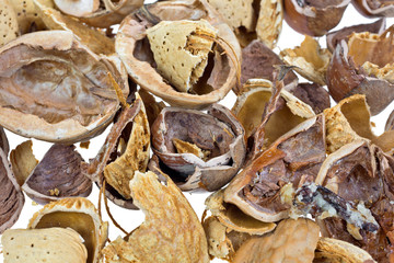 Broken nut shells