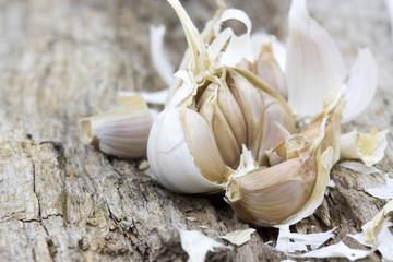 fresh garlic
