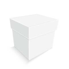 empty white paper box isolated