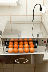Disinfection of eggs