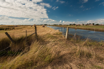 Paysage du marais breton en Vendee