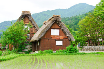 Fototapeta na wymiar Historical Japanese Village - Shirakawa-go