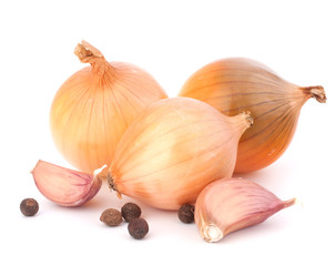 Onion and garlic clove