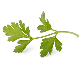 parsley