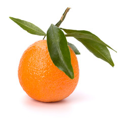 tangerine i