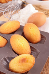 madeleine cookie with ingredient