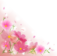 秋桜　花　ピンク　秋　季節　コスモス フレーム