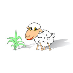 A funny sheep on a white background