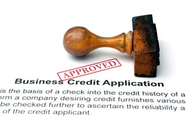 Business credit application