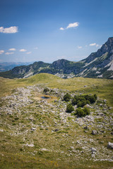 Fototapeta premium mountain landscape