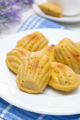 madeleine cookies with lavender on a plate, close-up