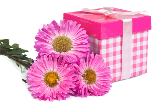 a bouquet of asters and pink gift box with bow isolated