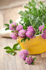 herbal herbs -sagebrush and clover