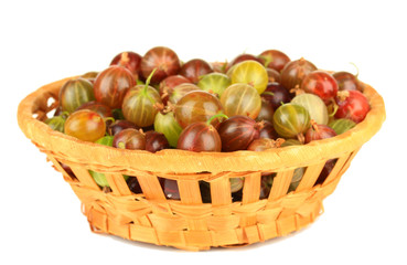 Fresh gooseberries in wicker basket isolated on white