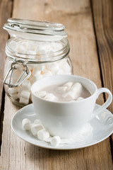 Cup of Hot Chocolate with marshmallows
