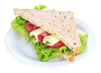 Tasty sandwich with salami sausage and vegetables