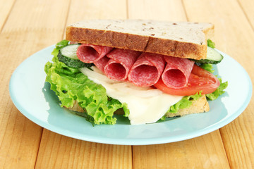 Tasty sandwich with salami sausage and vegetables