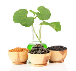 Conceptual photo of bio fuel.  Isolated on white